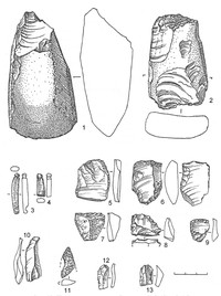 Рис.19. Инвентарь поселения Радколье 3 (3–13) и 5 (1,2) (1–4 – сланец; 5–13 – кремень)