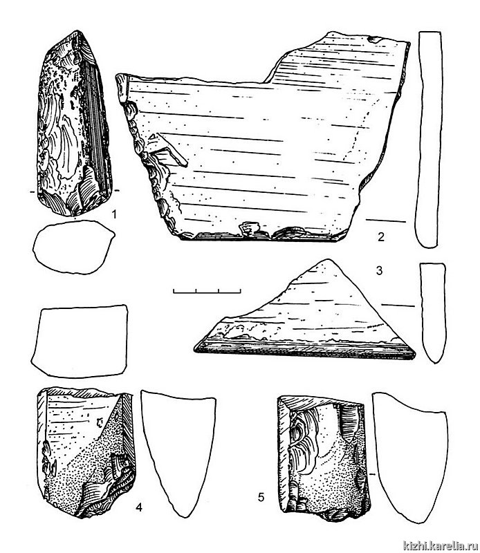 Рис.204. Инвентарь поселения Южный Олений остров 1: 1, 4–5 – сланец, 2, 3 – кварцит