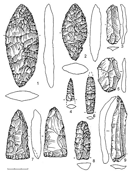 Рис.5. Кремневый инвентарь поселения Воицкое II