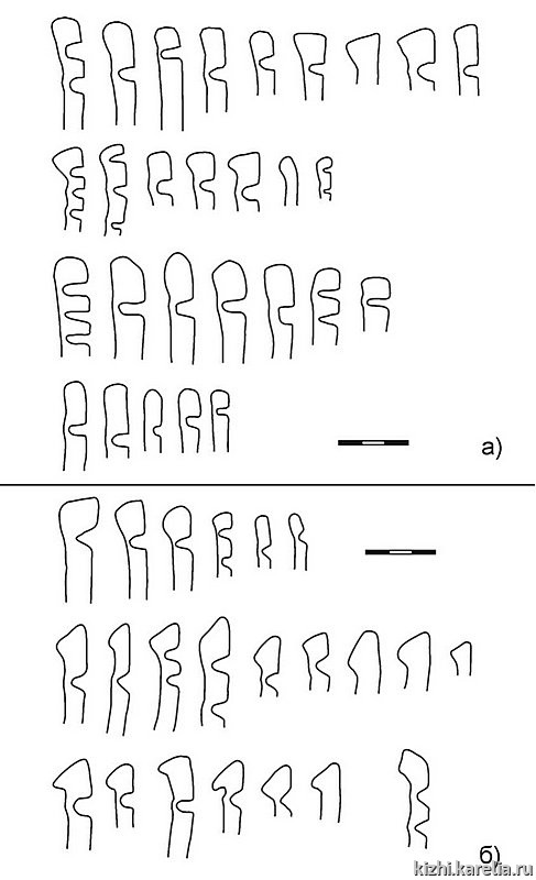 Рис.219. Профили венчиков сосудов из поселения Вожмариха 21: гребенчато-ямочная (а) и ромбо-ямочная (б) керамика