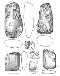 Рис.4. Инвентарь поселения Вожмариха 21 (1–2, 4, 6–7 – сланец; 3, 5 – кварц)