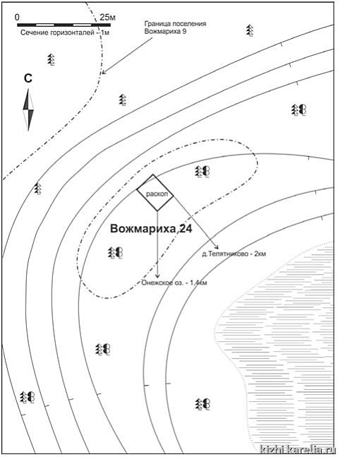 Рис.46. План поселения Вожмариха 24