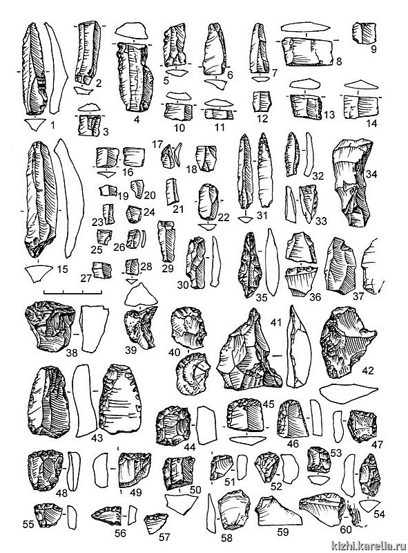 Рис.206. Инвентарь поселения Южный Олений остров 1: 1–2, 4–12, 14, 16–23, 26–32, 34–36, 38, 40–41, 43, 45–56, 58–59 – кремень, 3, 15, 24, 33, 39, 57, 60 – лидит, 13 – кварц, 25, 37, 42, 44 – сланец