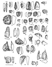 Рис.8. Каменный инвентарь Оленеостровской стоянки (раскоп 2007 г.).  Место хранения – Государственный историко-архитектурный и этнографический музей-заповедник «Кижи» 1–4 – наконечники стрел; 5 – скребок-нож: 6–14, 16–19, 22–24, 29 – скребки; 12 – скребло; 15, 25, 31–32, 36 – отщепы с ретушью; 20 – 