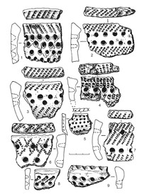 Рис.15. Образцы керамики из поселения Радколье 2 (1–4, 6–8 – гребенчато-ямочная; 5, 9 – ямочно-гребенчатая)
