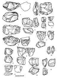 Рис.6. Каменный инвентарь Оленеостровской стоянки (раскоп 2007 г.). Место хранения – Государственный историко-архитектурный и этнографический   музей-заповедник «Кижи». Нуклеусы: 1 – черепаховидный; 2–3, 6, 11 – пренуклеусы; 4, 10 – биполярные; 5, 7, 13 – призматические для пластин и микропластин; 8