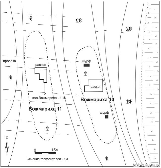 Рис.39. План поселения Вожмариха 10, 11