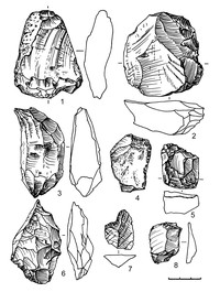 Рис.14. Предметы из сланца (1, 2), кварцита (3) и кремня (4–8)