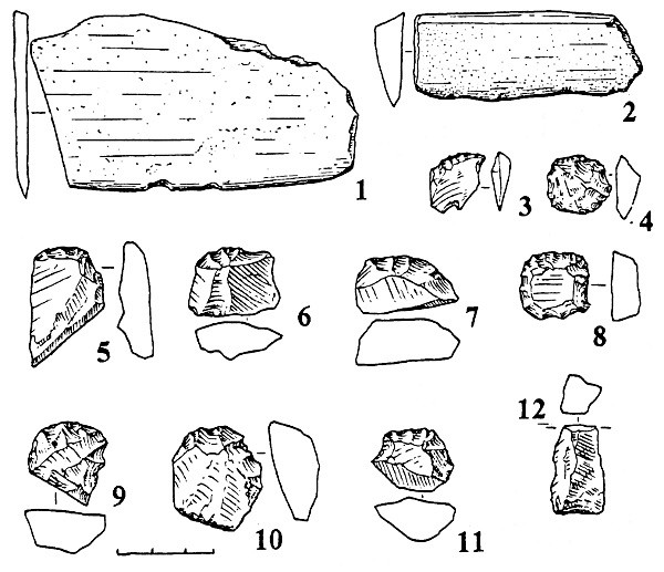 Рис.4а. Каменный инвентарь поселения Вожмариха 11.