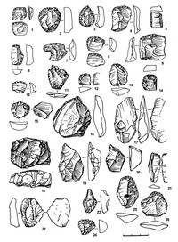 Рис.5. Каменный инвентарь Оленеостровской стоянки. Место хранения – Институт языка, литературы и истории КарНЦ РАН 1–10, 12–15, 24 – скребки; 11 – отщеп со следами использования; 16, 18 – скрёбла; 17 – скобель; 19 – скребок-проколка; 20 – проколка; 21 – резец-нож (?); 22 – отщеп с ретушью; 23 – свер