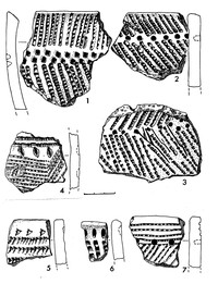 Fig.5