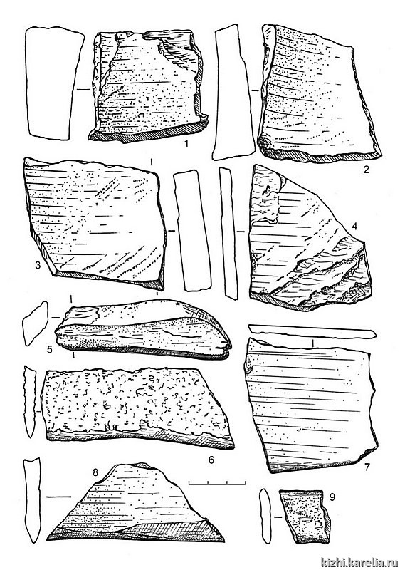 Рис.155. Инвентарь поселения Вожмариха 24: 1–2, 4, 6–9 – сланец, 3 – кварцит, 5 – песчаник