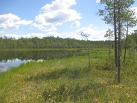 Рис.1б  Панъярвь (Войлахта, Бабаевский район Вологодской области).