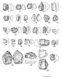 Рис.4. Вожмариха 22: 1–3 – скребки, кремень; 4, 5 – отщепы с ретушью, кремень; 6, 9 – скребки, лидит; 7 – пластинчатый отщеп, лидит; 8, 10 – отщепы с ретушью, лидит; 11–13, 15, 18–20, 22, 23, 25 – скребки, кварц; 14 – проколка (сверло); 16, 24 – долотовидные орудия, кварц; 17, 27 – отщепы со следами