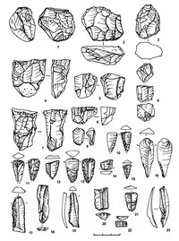 Рис.4. Каменный инвентарь Оленеостровской стоянки. Место хранения – Институт языка, литературы и истории КарНЦ РАН 1, 3, 9 – биполярные нуклеусы; 2 – нуклеус плоскостного скалывания для отщепов; 4 – пренуклеус для пластин; 5, 8 – призматические нуклеусы для отщепов; 6 – призматический нуклеус для ми