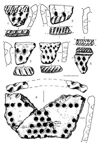 Рис.9. Керамика с гребенчато-ямочным (1–2), ямочным (3–4, 6) и ромбо- ямочным (5) орнаментом из поселения Вожмариха 21