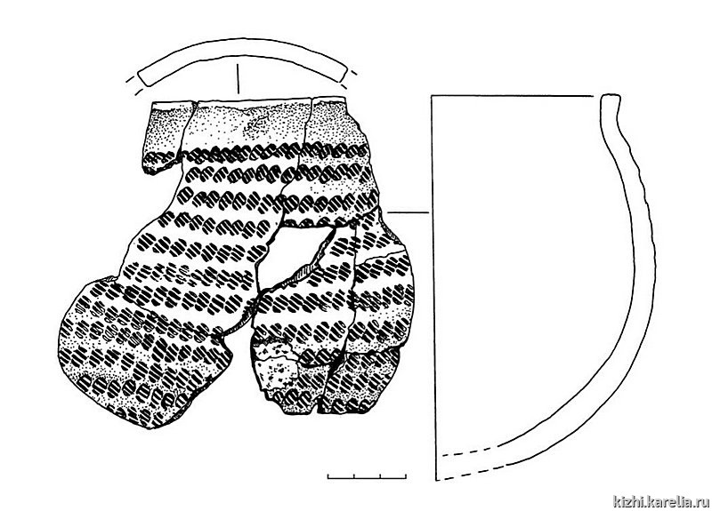 Рис.264. Керамика сперрингс из поселения Вожмариха 26