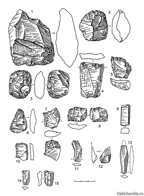 Рис.189. Инвентарь поселения Леликово 2: 1–5 – лидит, 6–7, 10–11, 14–15 – кремень, 8 – кварц, 9, 12–13 – сланец