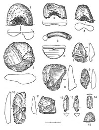 Рис.13. Инвентарь поселения Радколье 2 (1–6 – сланец; 7, 8, 10, 14 – кремень; 9, 11–13, 15 – кварц)