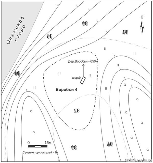 Рис.51. План поселения Воробьи 4