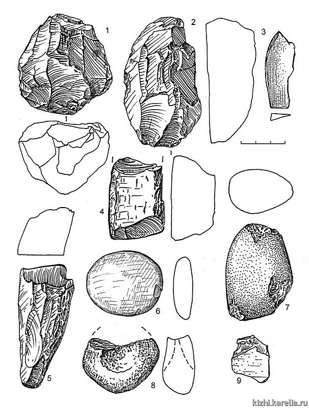 Рис.186. Инвентарь поселения Леликово 1: 1 – лидит, 2–6, 9 – сланец, 7–8 – кварцит