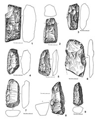 Рис.1. Заготовки макроорудий из Оленеостровской стоянки (раскоп 2007 г.), сланец. Место хранения – Государственный историко-архитектурный и этнографический музей-заповедник «Кижи» 