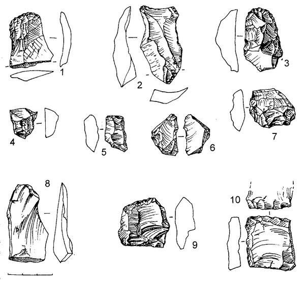 Рис.22. Предметы из кремня (1-2, 4-8, 10) и лидита (3, 9) (раскоп №2)