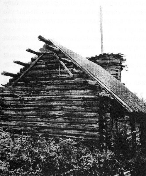 Фото 37. Спасо-Преображенская часовня в д.Гольяницы Пудожского района. 1979 г. Вид с северо-востока. НВФ 7171