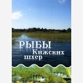 Рыбы Кижских шхер