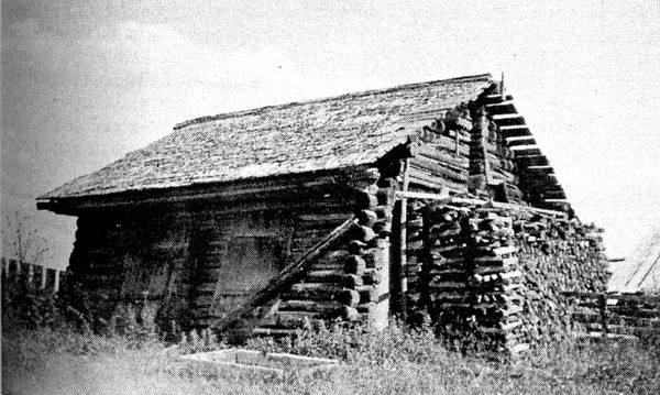 Фото 40. Амбар Вакуловых в деревне Сармяги Олонецкого района. Общий вид. НВФ-6602.