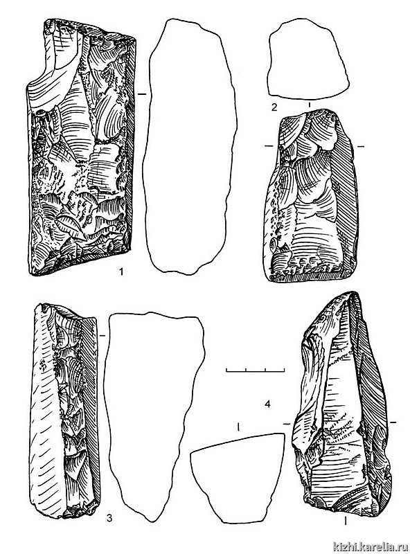 Рис.203. Инвентарь поселения Южный Олений остров 1: 1–4 – сланец