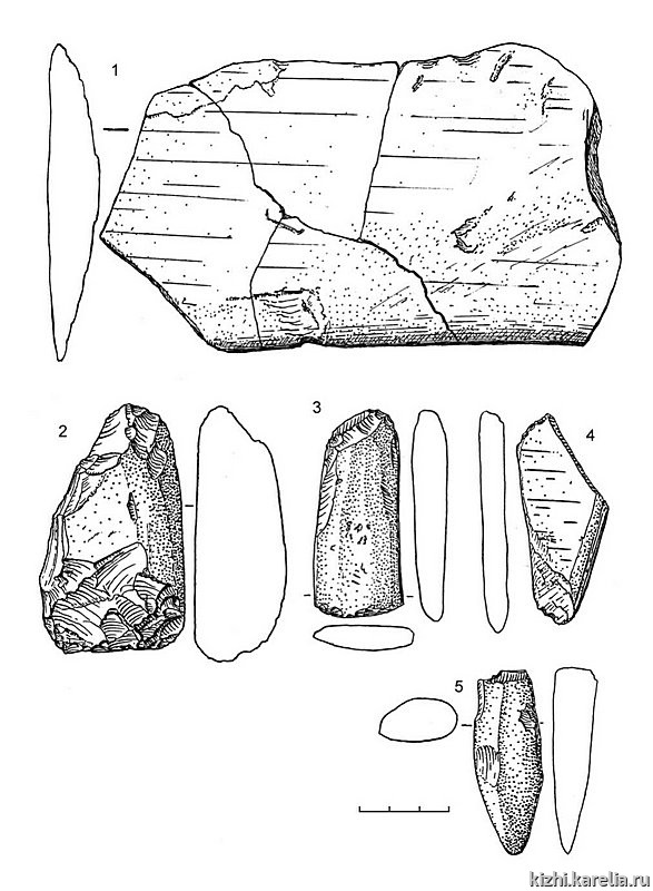 Рис.148. Инвентарь поселения Вожмариха 24: 1–5 – сланец