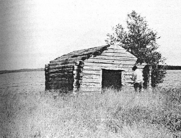 Фото 25. Амбар у дома №5 в деревне Рудометово Кемского района. Общий вид. НВФ-7569.