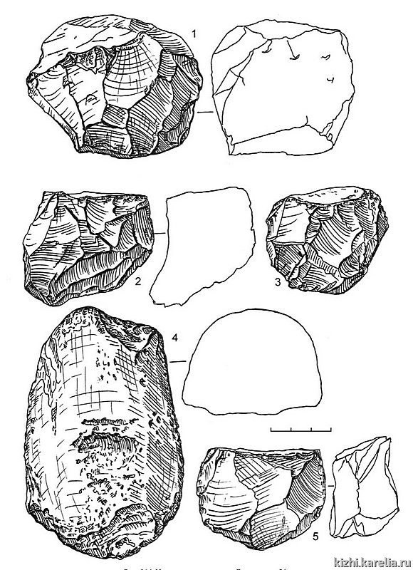 Рис.164. Инвентарь поселения Вожмариха 26: 1–3, 5 – кварцит, 4 – сланец