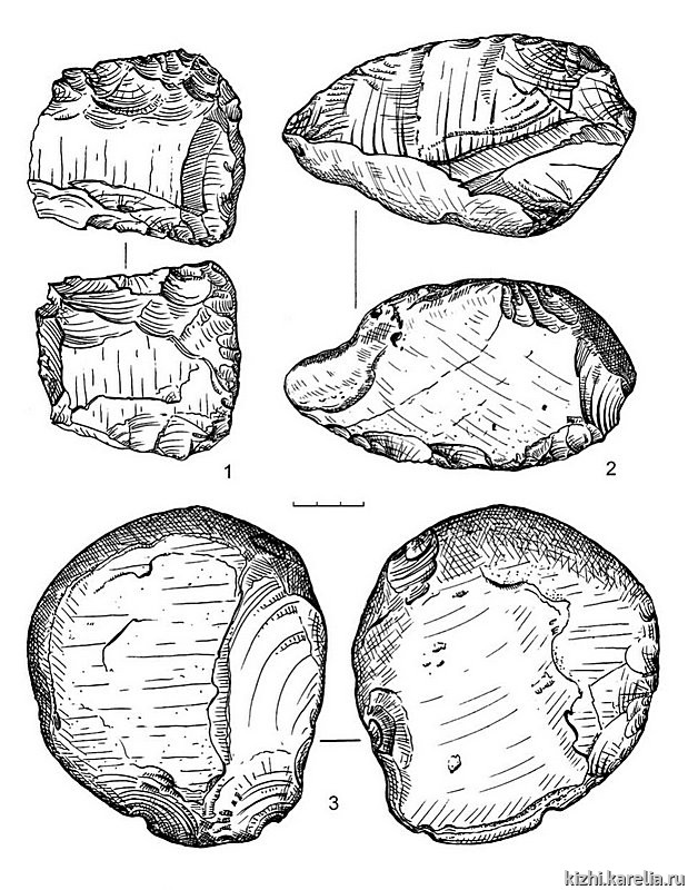 Рис.209. Инвентарь поселения Южный Олений остров 2: 1–3 – сланец