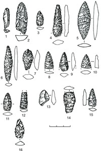 Рис. 2. Наконечники стрел из кремня (1, 3–16) и лидита (2)