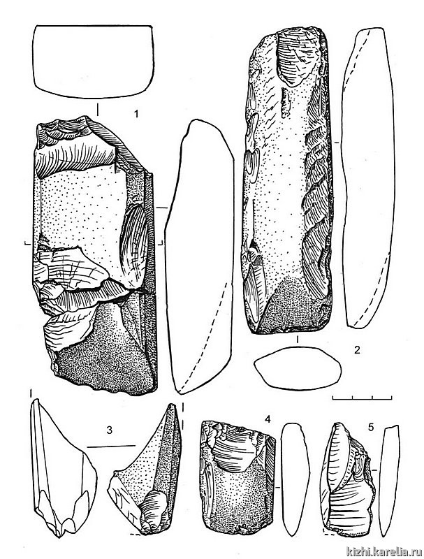 Рис.145. Инвентарь поселения Вожмариха 24: 1–5 – сланец