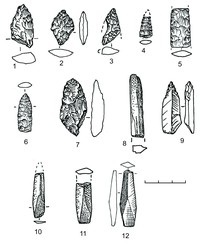 Рис. 3. Наконечники стрел из кремнистого сланца (1), лидита (2), кремня (3–6), кварца (7), сланца (8–12)