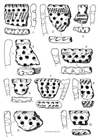 Рис.7. Керамика с гребенчато-ямочным (1–3) и ямочным (4–10) орнаментом из поселения Вожмариха 21