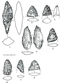 Рис. 6. Наконечники дротиков из кремня (1–3, 5–8) и лидита (4)