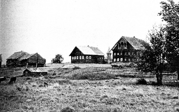 Фото 6. Вид на деревню Южная на Лычном острове Кондопожского района. НВФ-4749.