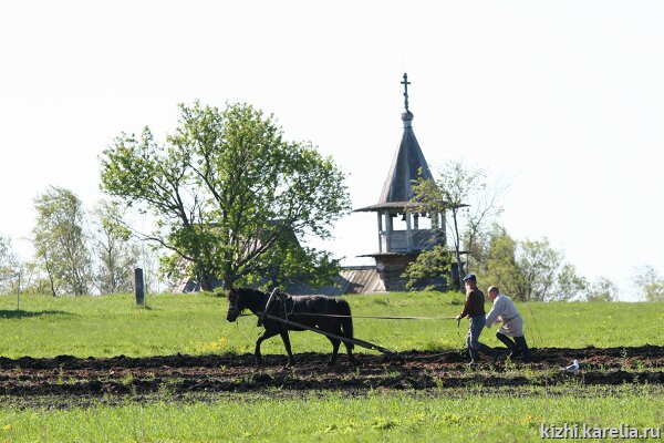 Рис. 23. Что такое рай на Земле? Думается – чистая природа, доброе согласие и работа для будущего. Остров Кижи, 2007 г. Фотография Б. Д. Москина