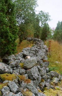 Ровница на Большом Клименецком острове