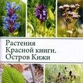 Растения Красной книги