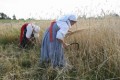  Музей-заповедник «Кижи» представляет конкурсный проект на Интермузей-2007 «Кижская волость: Семья и музей»