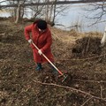 Большой субботник в музее «Кижи». Остров готов к приёму гостей!