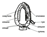 Хомут