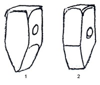 Кувалда остроносая поперечная, кувалда остроносая продольная.